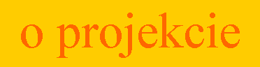 Pole tekstowe: o projekcie