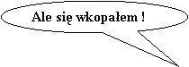 Objanienie owalne: Ale si wkopaem !