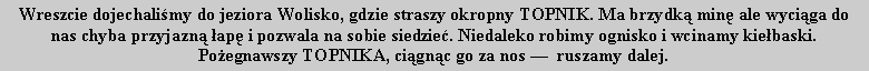 Pole tekstowe: Wreszcie dojechalimy do jeziora Wolisko, gdzie straszy okropny TOPNIK. Ma brzydk min ale wyciga do nas chyba przyjazn ap i pozwala na sobie siedzie. Niedaleko robimy ognisko i wcinamy kiebaski. Poegnawszy TOPNIKA, cignc go za nos   ruszamy dalej.