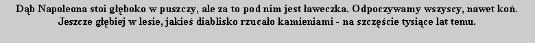 Pole tekstowe: Db Napoleona stoi gboko w puszczy, ale za to pod nim jest aweczka. Odpoczywamy wszyscy, nawet ko.Jeszcze gbiej w lesie, jakie diablisko rzucao kamieniami - na szczcie tysice lat temu.