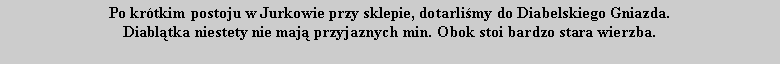 Pole tekstowe: Po krtkim postoju w Jurkowie przy sklepie, dotarlimy do Diabelskiego Gniazda. Diabltka niestety nie maj przyjaznych min. Obok stoi bardzo stara wierzba.